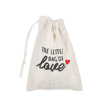 Little Bag of Love Gift Bag with Insert card