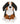 Bernese Mountain Dog from Webkinz with secret codes for virtual games