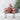 3 Merry Chris-Moose Christmas ornaments wearing santa hats and scarves, holding funny holiday signs - Chivilla Bay holiday decor.