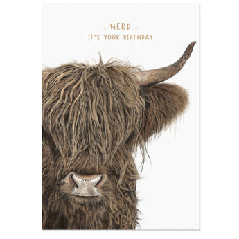 Highland cow birthday greeting card with shaggy cow illustration and humorous herd pun, foil stamped, 4.75x6.75