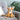 The Heritage Collection Chihuahua Stuffed Animal from Ganz