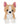 with secret codes for Webkinz World virtual games.