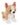 Webkinz Chichuahua Plush Dog with secret codes