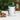 Another view of the green and white ceramic coffee mug with the funny and sarcastic who ties your shoelaces design