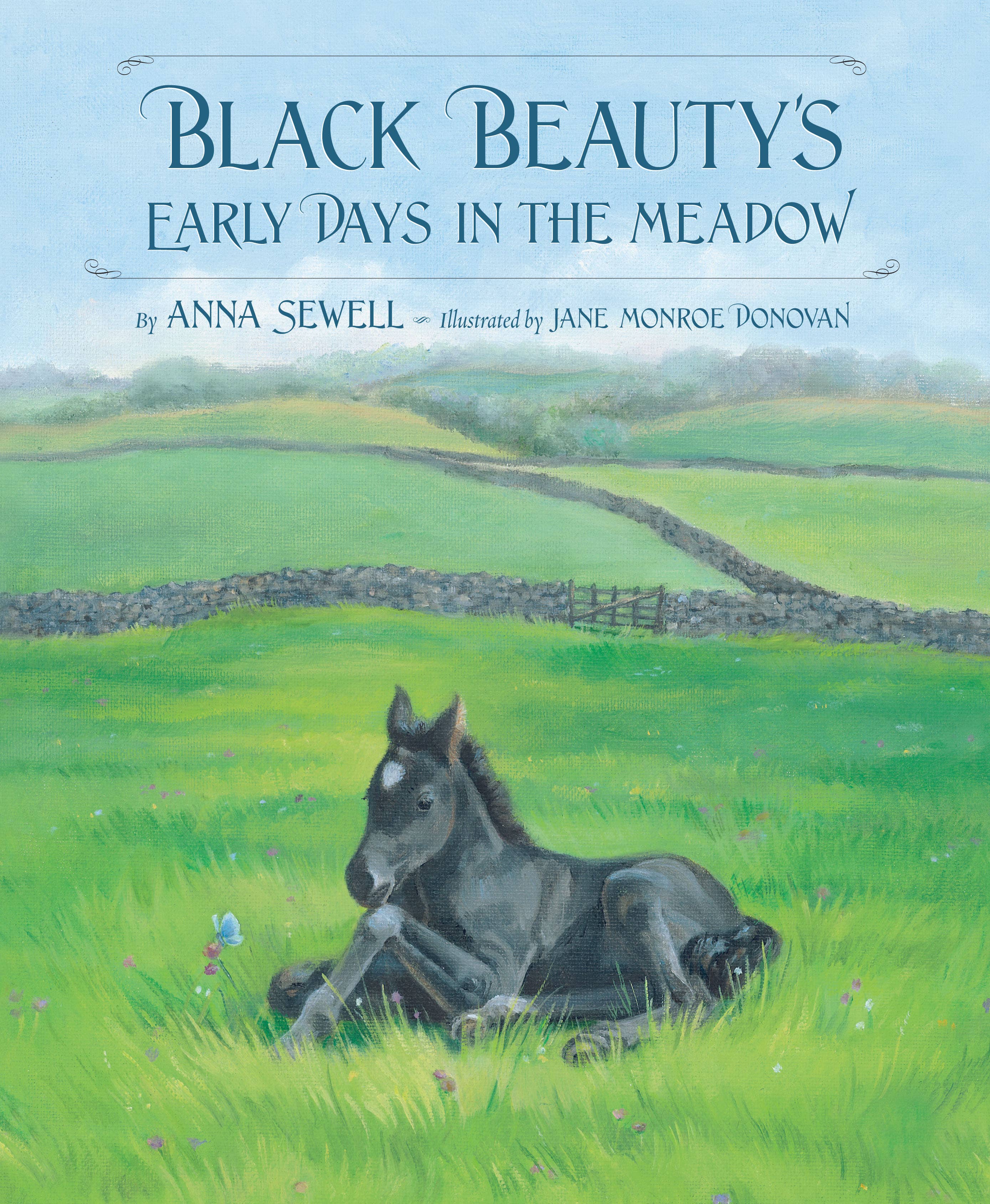 Childrens Book: Black Beauty's Early Days in the Meadow