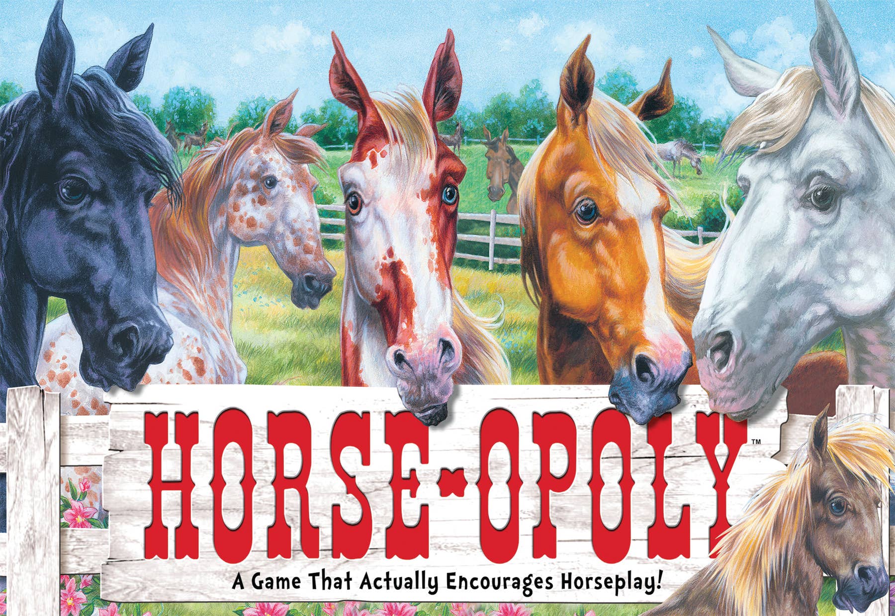 Horse Opoly, A game that actually encourage horseplay. Fun gift for equine lovers and enthusiasts.