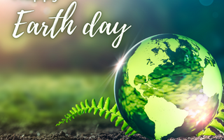 Eco-Friendly Living with Earth Day Favorites