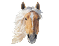 I AM Horse 550 piece jigsaw puzzle - gift
