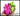 Pink and green balloon dog fidget toy held in a hand with 'Curious Minds Busy Bags' branding.
