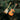 Two guitar ornaments: one electric guitar and one acoustic guitar with red hanging ribbons with Christmas tree background