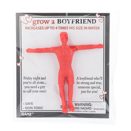 Grow a Boyfriend Gag Gift