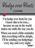 Charms, Hedge Over Heels Hedgehog