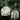 Christmas Greenhouse Glass Ornaments from Midwest CBK. Perfect for the gardeners holiday tree.