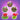 Collection of Teenage Mutant Ninja Turtles-themed balls and plush toys on a purple background with star-like decorations.