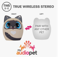 Portable Bluetooth Speaker The Kitty Cat