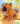 Ganz Webkinz Chow Chow plush with golden-brown fur, fluffy mane-like ruff, dark muzzle, rounded ears, and a curled tail.