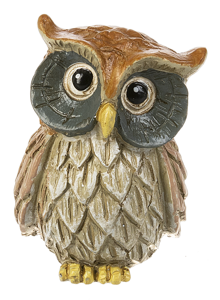 Charms: Wise Owl