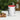 Another view of the red and white funny mouse coffee mug