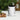 view of the black handled cute mouse graphic coffee cup