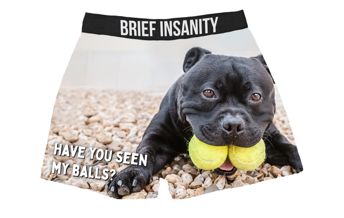 Boxers, Have you seen my Balls?