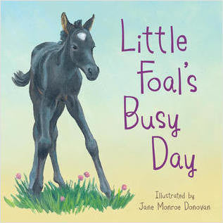 Little Foal's Busy Day. Hardcover childrens board book illustrated by Jane Monroe Donovan