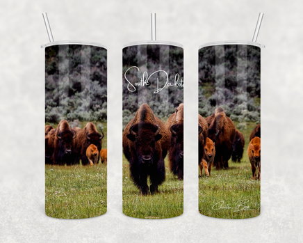 Bison South Dakota 20 oz stainless steel water tumbler with lid and straw by Chivilla Bay