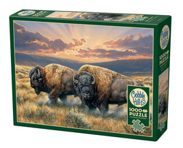 Yellowstone Bison puzzle from Cobble Hill. 1000 piece puzzle featuring the buffalo bison on the dusty prairie.