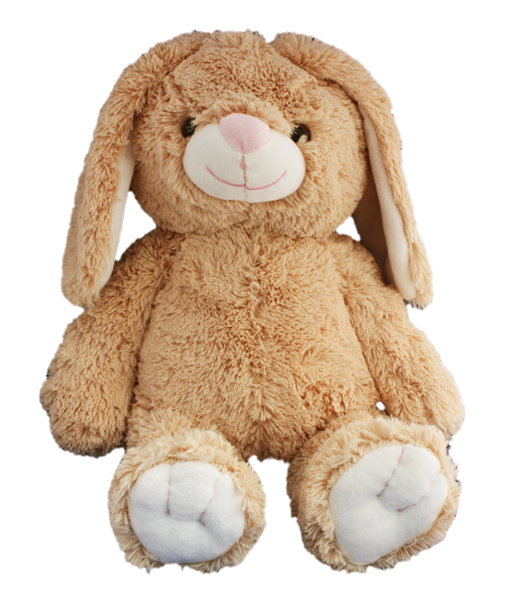 Flopsy Bunny for the Frannie and Friends Create a Cuddly Club