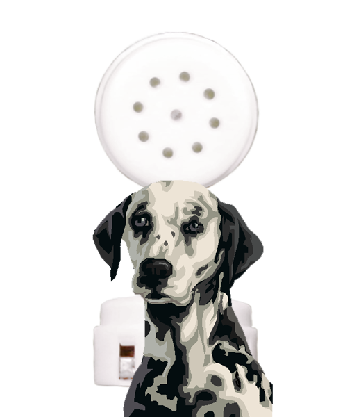 Dog Ruff Sound Dog Sound Ruff Ruff module for stuffed animal – Chivilla Bay